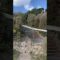 [ID: A441lAzWMcM] Youtube Automatic